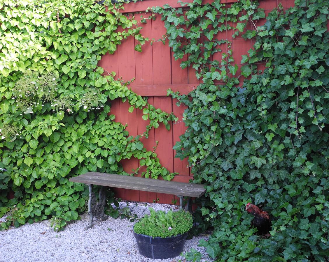 Villa Gina Oesterlen Sankt Olof Bagian luar foto