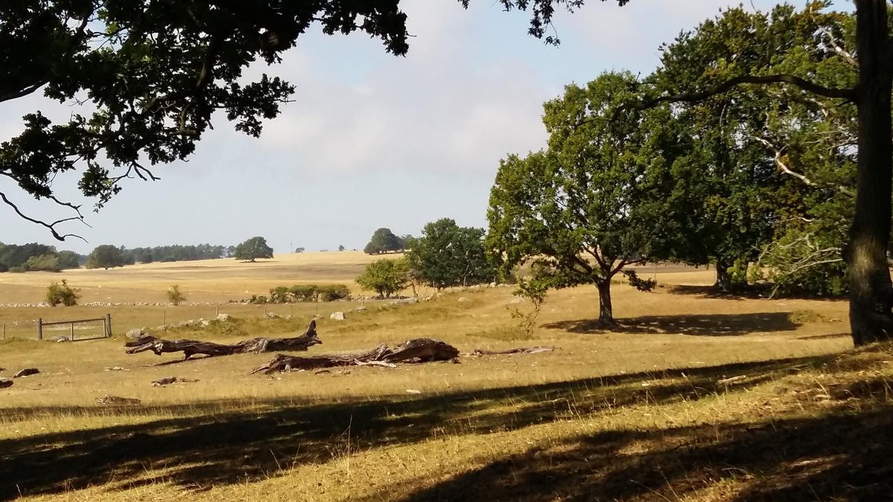 Villa Gina Oesterlen Sankt Olof Bagian luar foto