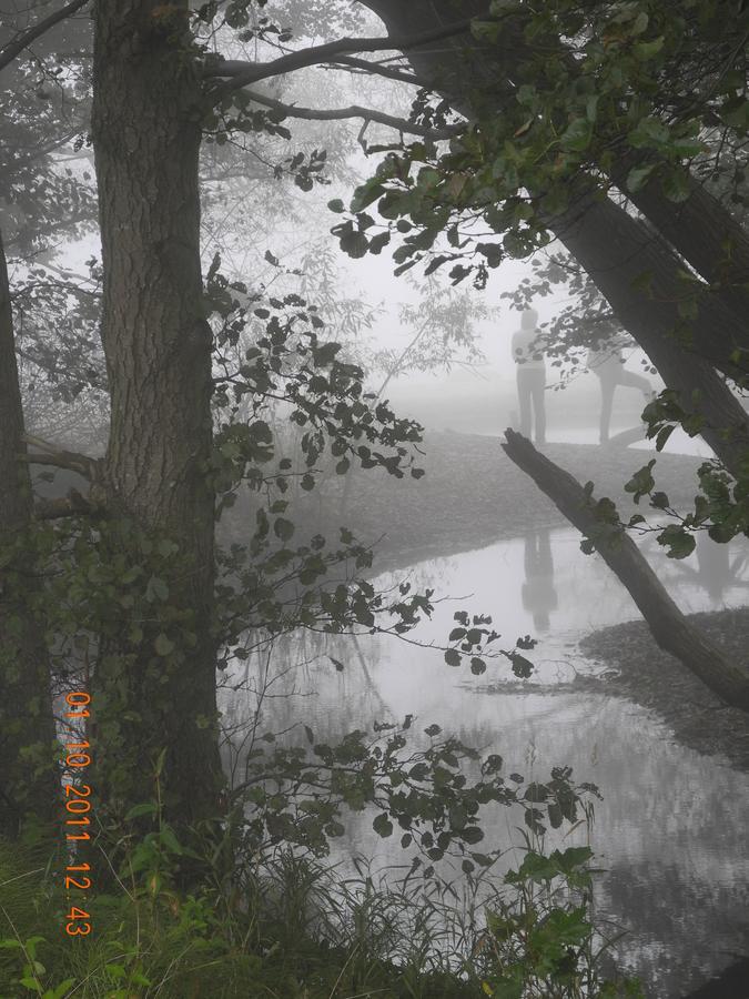 Villa Gina Oesterlen Sankt Olof Bagian luar foto